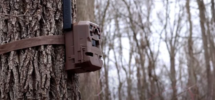 How To Set Up A Moultrie Trail Camera