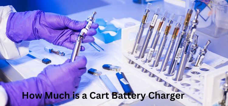 How Much is a Cart Battery Charger