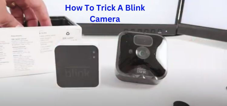 How To Trick A Blink Camera