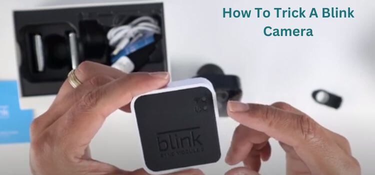 How To Trick A Blink Camera