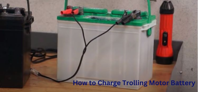 How to Charge Trolling Motor Battery While on the Water