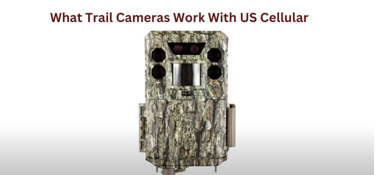 What Trail Cameras Work With US Cellular