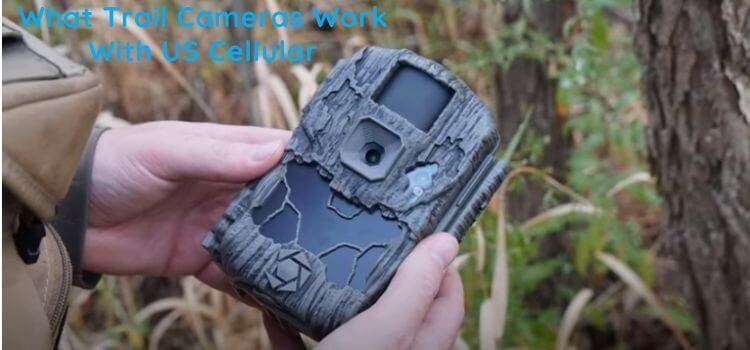 What Trail Cameras Work With US Cellular