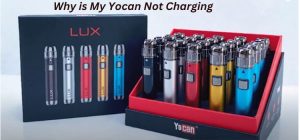 Why is My Yocan Not Charging